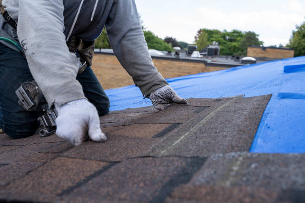 Roof Restoration